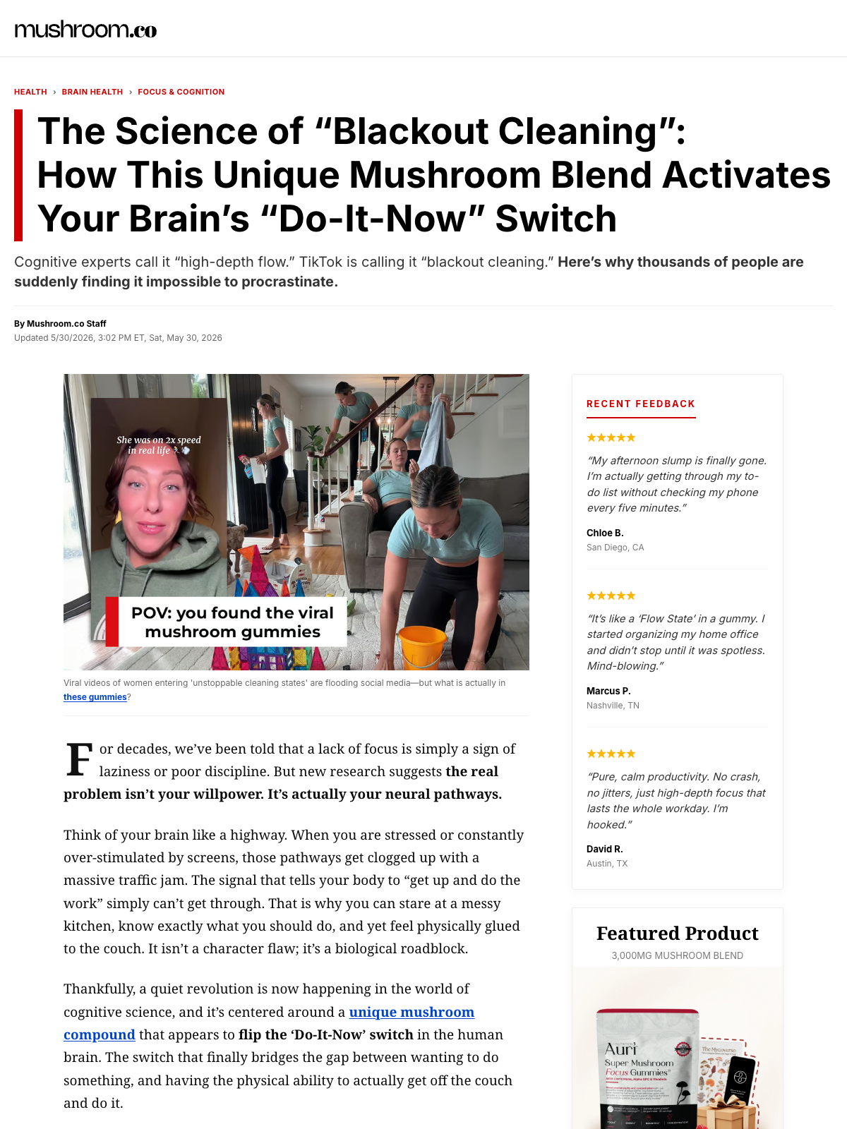 Mushroom Blackout Cleaning